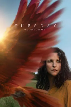 Poster Tuesday: O Último Abraço