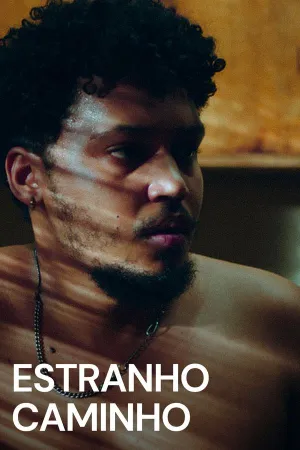 Poster Estranho Caminho