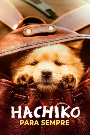 Poster Hachiko Para Sempre