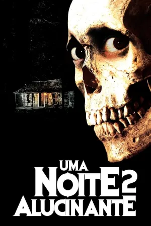 Poster Uma Noite Alucinante 2