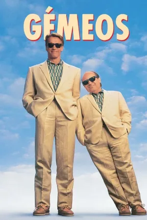 Poster Irmãos Gêmeos