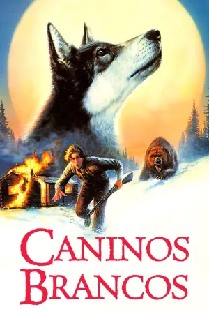 Poster Caninos Brancos