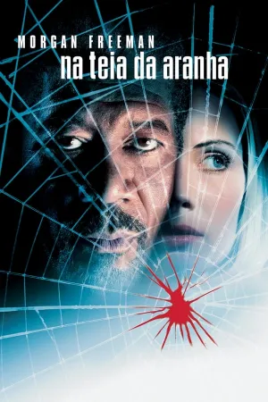 Poster Na Teia da Aranha