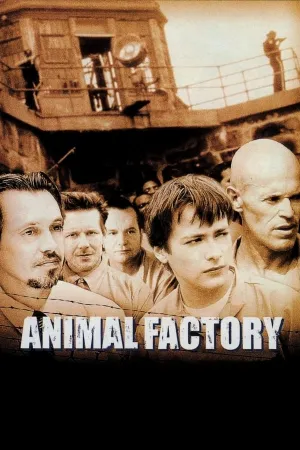 Poster Fábrica de Animais