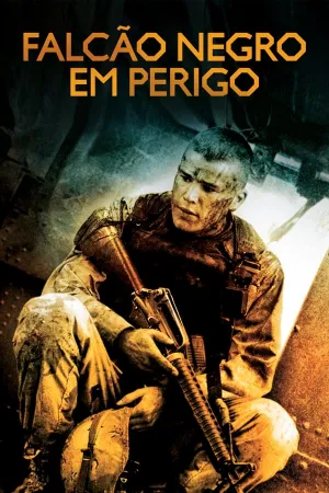 Poster Falcão Negro em Perigo