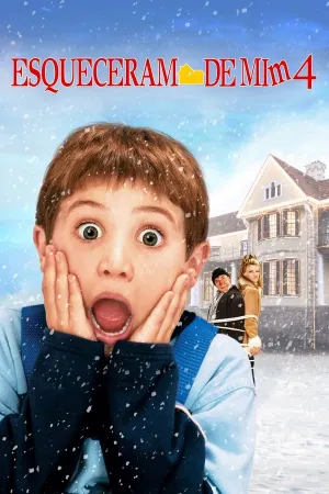 Poster Esqueceram de Mim 4