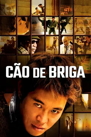 Poster Cão de Briga